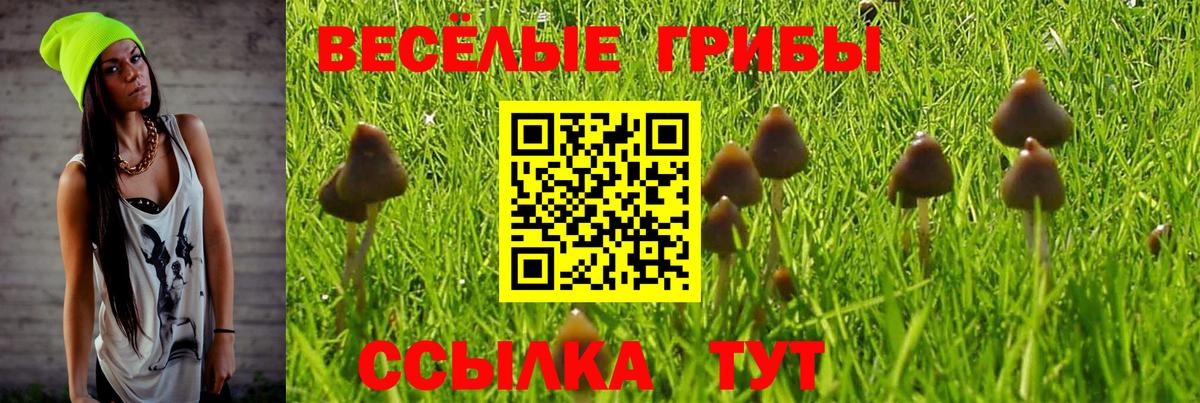 Галлюциногенные грибы Cubensis  Вход с VPN  Комсомольск-на-Амуре  Галлюциногенные грибы Cubensis 