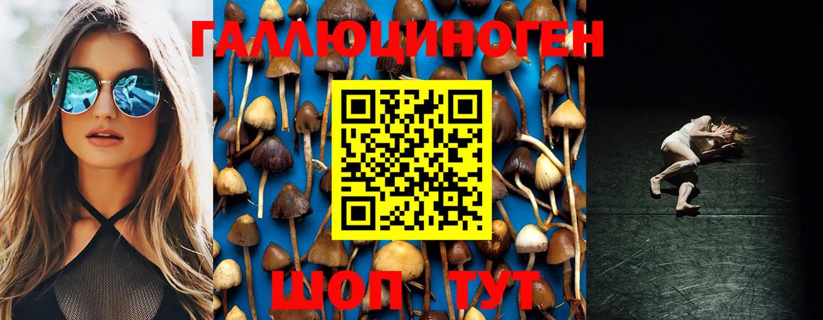Псилоцибиновые грибы прущие грибы Комсомольск-на-Амуре